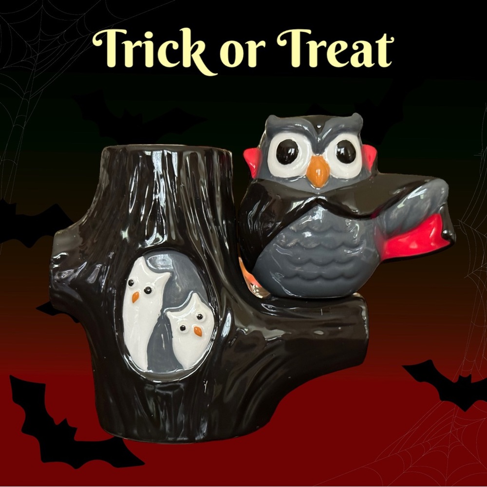 🦉MidNight Owl Magnetic Salt & Pepper Shaker Set 🦉